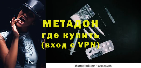шишки Дмитровск