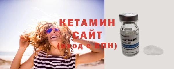 шишки Дмитровск