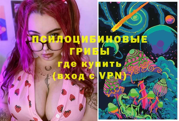 a pvp Дмитров