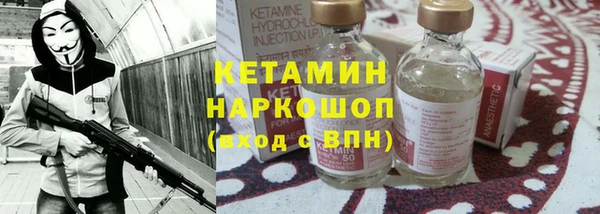 шишки Дмитровск
